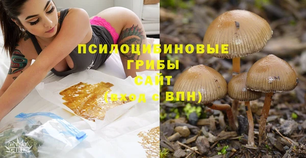 трава Карталы